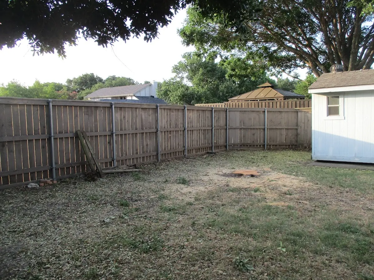 Cleared yard after professional tree removal in Shirley