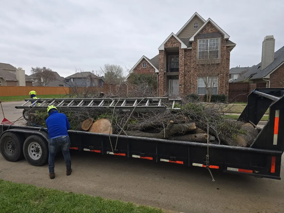 Expert Lot Clearing with proper safety equipment in Shirley
